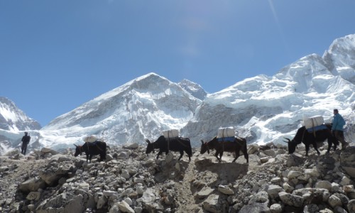 Lhotse Expedition